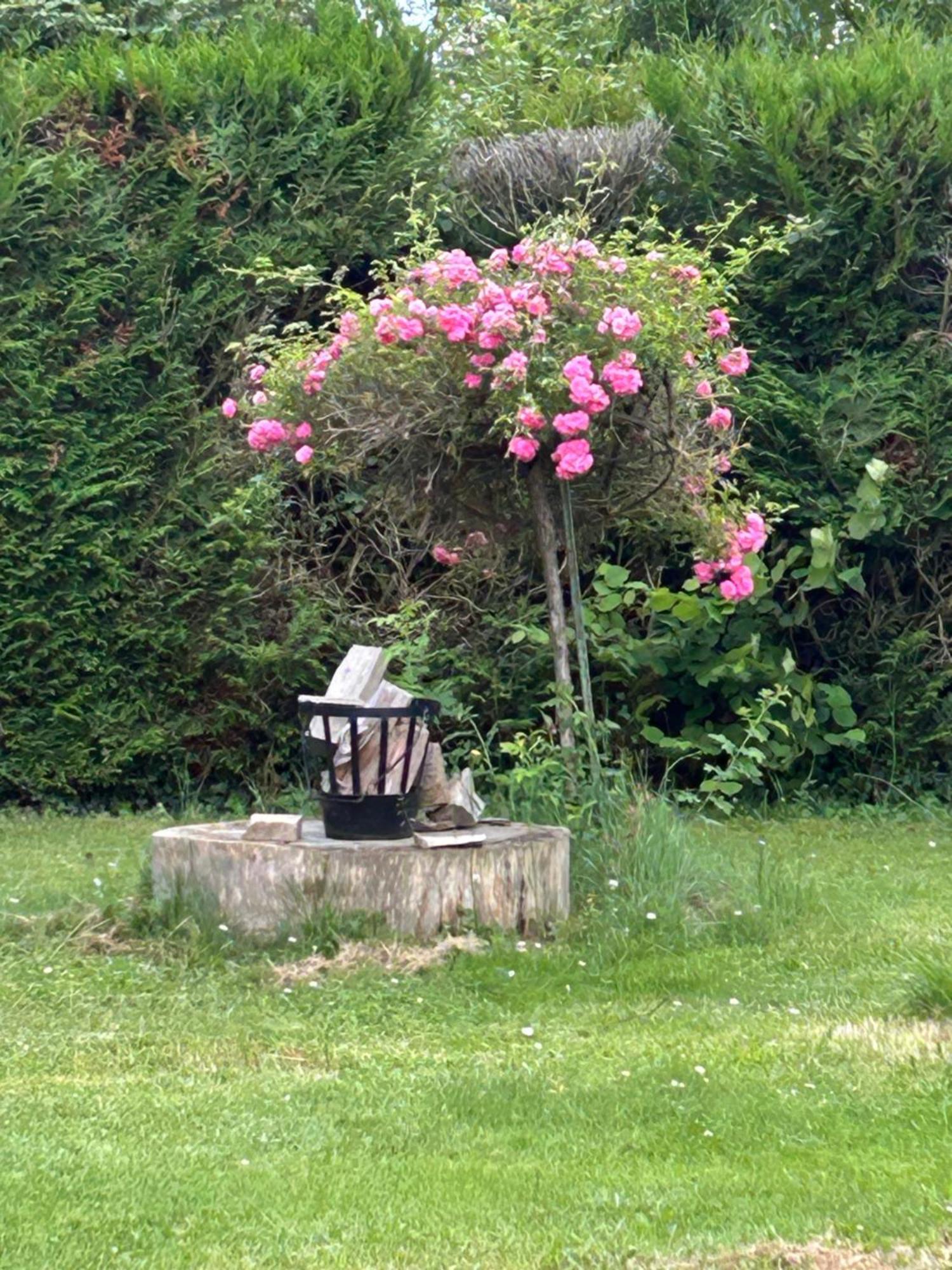 Holiday Home Villa Castel Marie Louise Néris-les-Bains Buitenkant foto